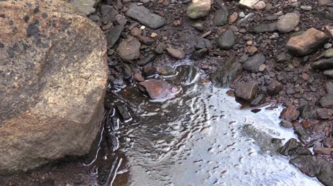 Oil slick . Alaskan Stock Footage 27759316
