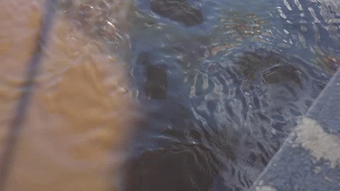 Oil slick floating on a polluted river with rainbow reflections Stock Footage 339304152