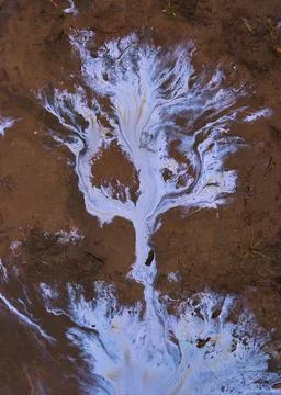 Oil Slick Stock Photos