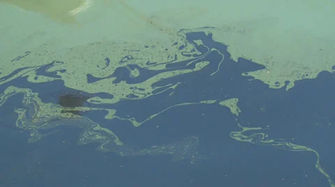 Oil slick on the surface of the sea Stock Footage 29890997