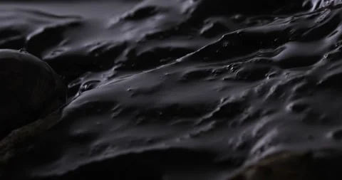 Oil-Slicked Rock surface with dead snail. Stock Footage 272579889