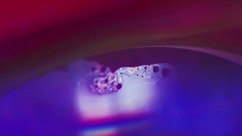 Oil sphere abstract background neon paint bubble Stock Footage 263024706
