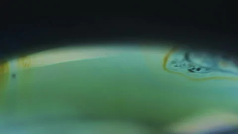 Oil sphere abstract background paint stain bubble Stock Footage 261967974