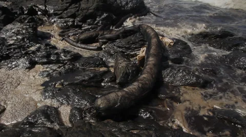 OIL SPILL DISASTER BLACK SLUDGE SLICK WATER Stock Footage 27880185