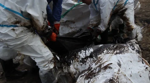 OIL SPILL DISASTER WORKERS CLEAN TROPICAL BEACH Stock Footage 27606767