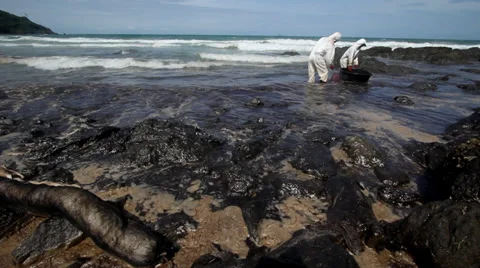 OIL SPILL DISASTER WORKERS CLEAN TROPICAL BEACH 스톡 동영상 27650246