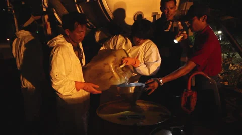OIL SPILL DISASTER WORKERS NIGHTTIME CLEAN UP Stock Footage 27845572