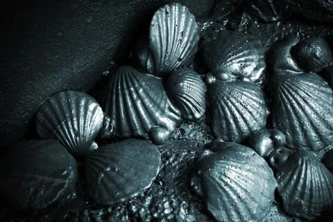 Oil spill Stock Photos