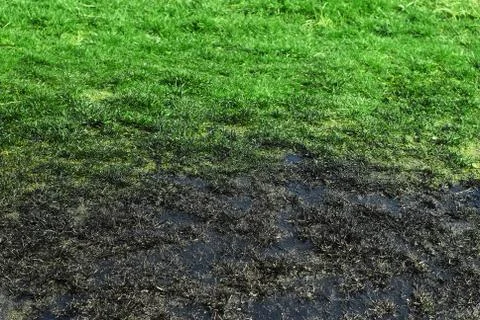 Oil spill Free Stock Photos