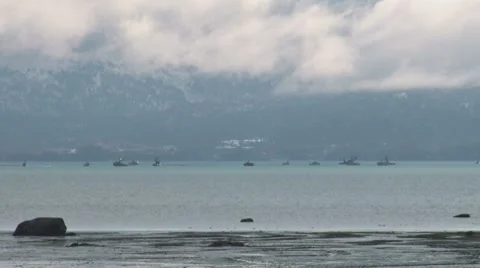 Oil Spill Response Cleanup Exercise 1 Stock Footage 8646476