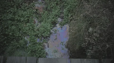 Oil spill in stream Video stock 58910957