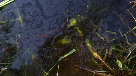 Oil spills on the river  Stock Footage 154543661