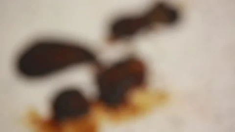 Oil stain on kitchen table (4) Stock Footage 202161590