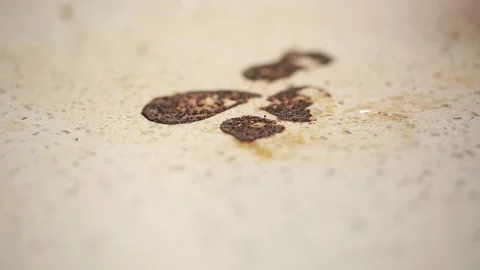 Oil stain on kitchen table (6) Stock Footage 202161593