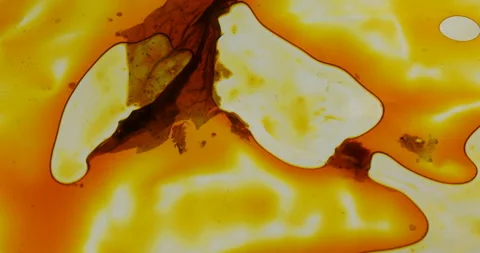 Oil Texture on Glass Stock Footage 327348135