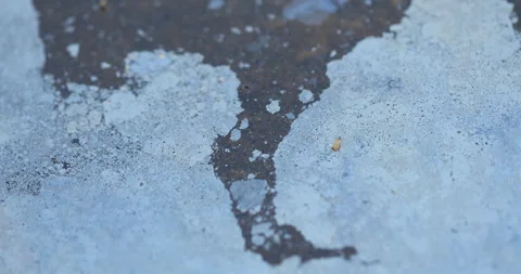 Oil Texture on water 스톡 동영상 335684216