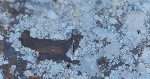 Oil Texture on water 스톡 동영상 335685110