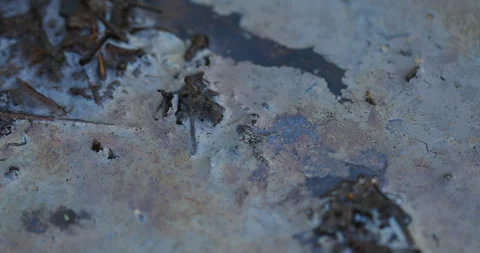 Oil Texture on water Vídeos de archivo 335685177