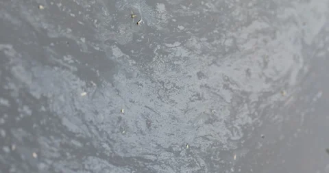 Oil Texture on water Video stock 335685573