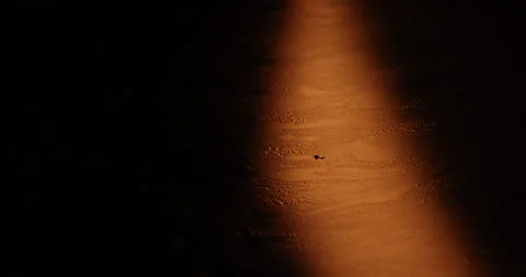 Oil Texture in the water Night Stock-Footage 335498207
