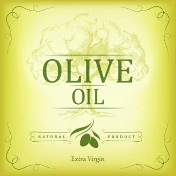 Oil. Vector  olive tree branch For labels, pack. Stock Illustration