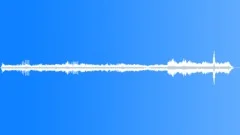 Oilbird approaching caveSound Effect