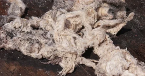 Oiled raw cotton Stock Footage 159355629