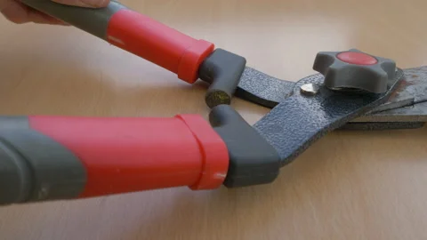 Oiling a pair of garden shears / hand pruners. Stock Footage 140121997