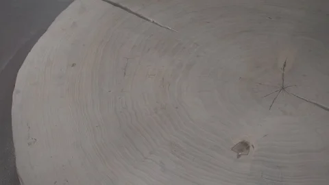 Oiling wood Stock Footage 104444717