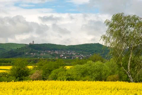 Oilseed rape field with cloudy sky Stock Photos