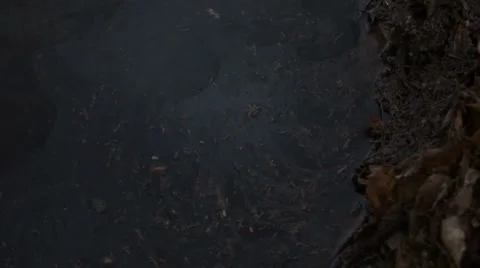 Oily Puddle Stock Footage 40344269