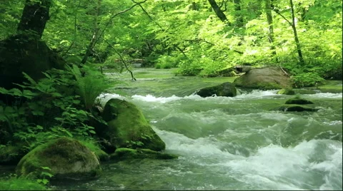 Oirase Gorge in Aomori Prefecture Stock Footage 59795987