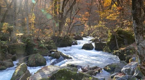 Oirase river at fall, Japan Stock Footage 45206242