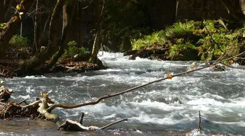 Oirase river at fall, Japan Stock Footage 45207024