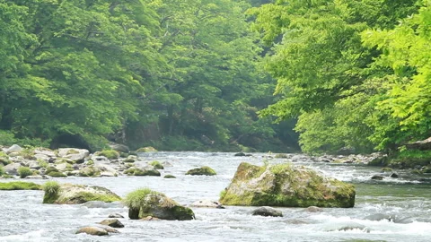 Oirase Stream Stock Footage 327533668