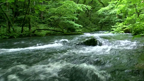 Oirase Stream Video stock 332376945