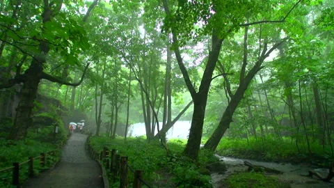 Oirase Stream Stock Footage 332407570