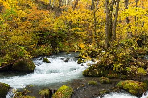 Oirase stream with waterfall Stock Photos