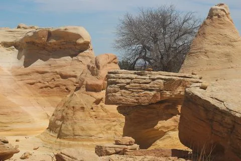 Ojito Wilderness Stock Photos