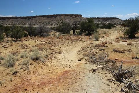 Ojito Wilderness Stock Photos