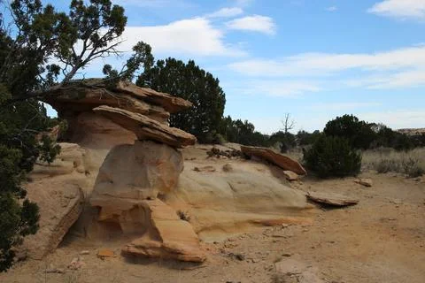 Ojito Wilderness Stock Photos