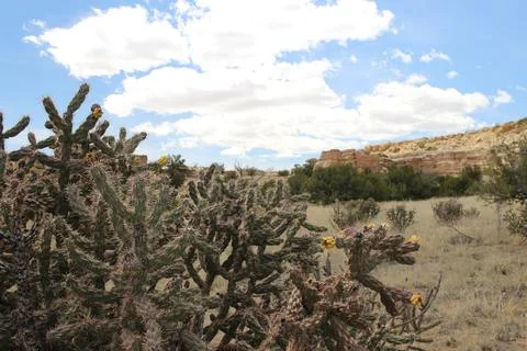 Ojito Wilderness Foto stock