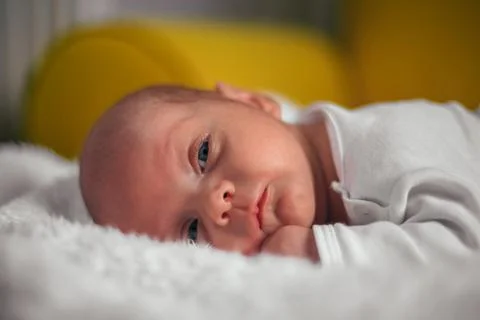Ok , I'll be taking a nap now Stock Photos