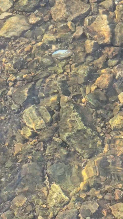 Oka river stream Stock Footage 289158076