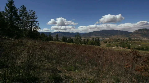 Okanagan-13 Stock Footage 704351