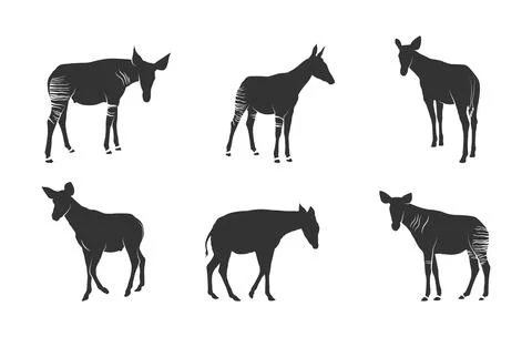 Okapi animal silhouettes, Okapi svg, Okapi silhouettes, Okapi animal svg Stock Illustration