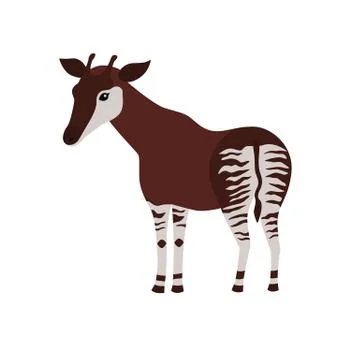 Okapi cartoon isolated on white background Stock Illustration