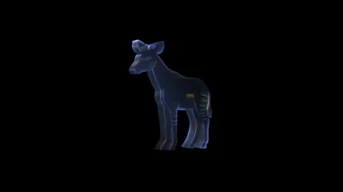 Okapi rotating on black background with glitch effect Stock Footage 313386084
