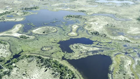 Okavango Delta Aerial Shot from Light Aircraft: Stunning Wetlands Stock Footage 339071397