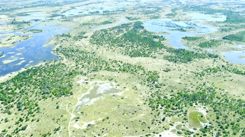 Okavango Delta Aerial Shot from Light Aircraft: Stunning Wetlands Stock-Footage 339081186